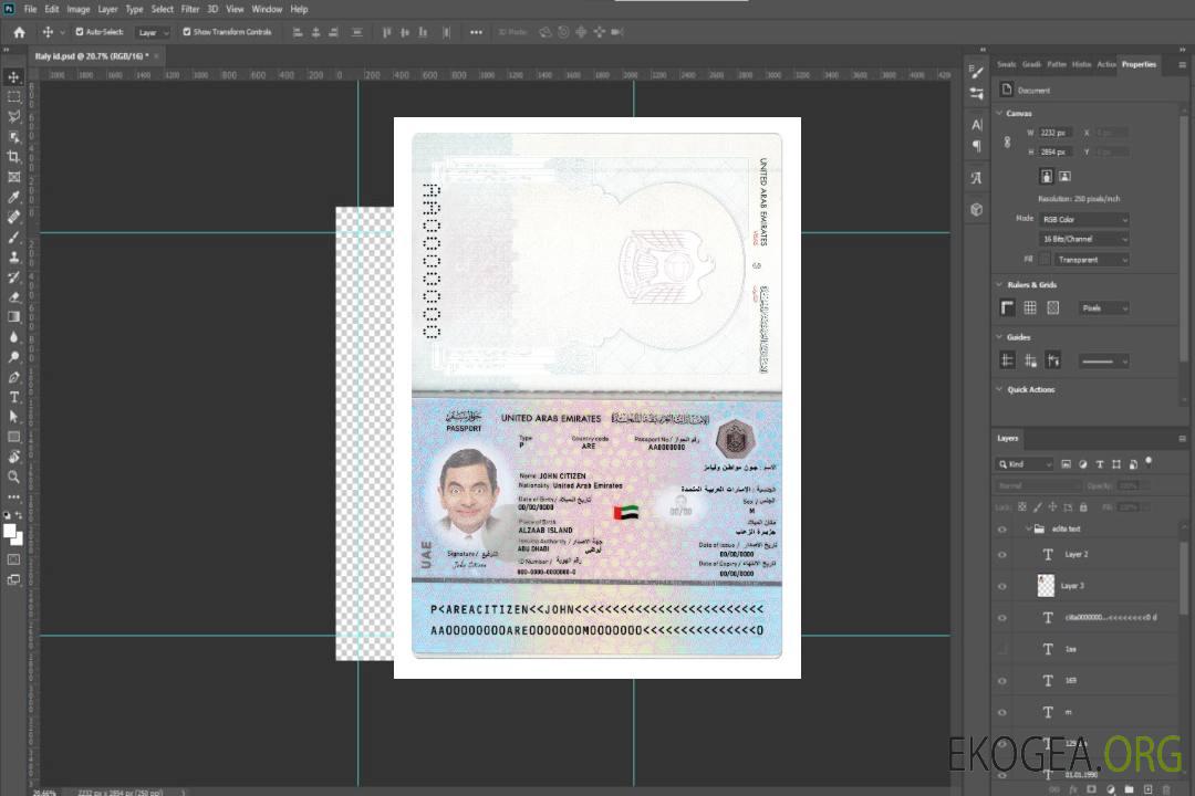 Passeport des Émirats arabes unis 2022-présent template Passeport des Émirats arabes unis 2022-présent template